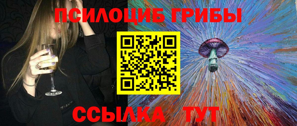 Псилоцибиновые грибы Cubensis Кинешма