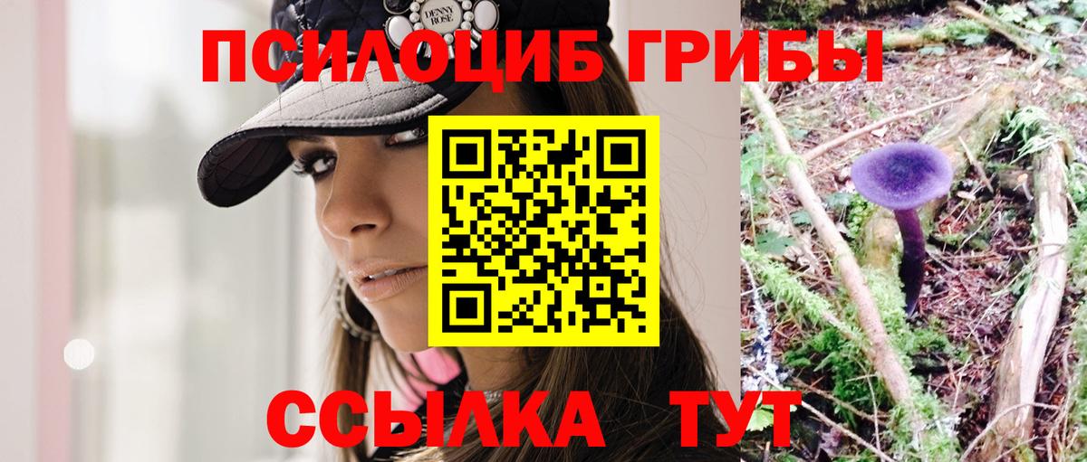 Кинешма  Псилоцибиновые грибы Psilocybine cubensis  Вход с VPN  Псилоцибиновые грибы прущие грибы 